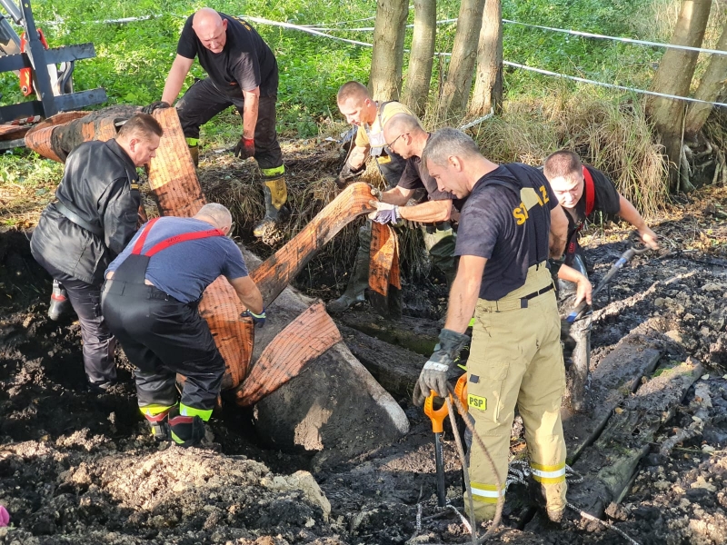 7/7 Strażacy uratowali konia