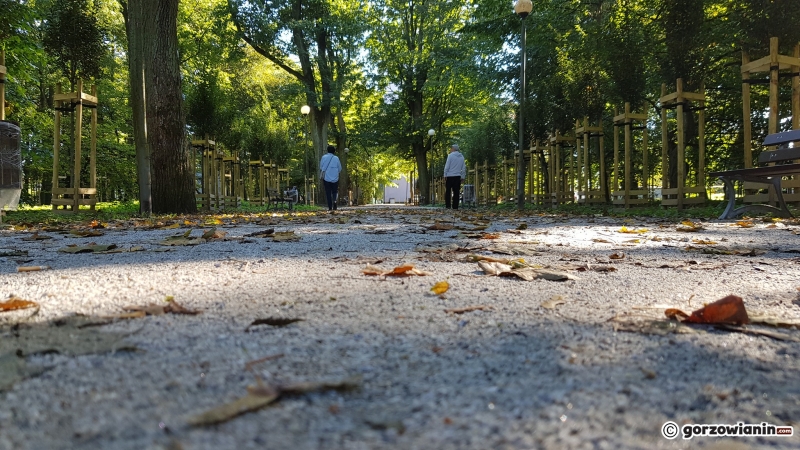 2/22 Tak zmienia się park Kopernika