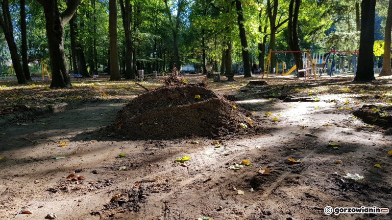6/22 Tak zmienia się park Kopernika