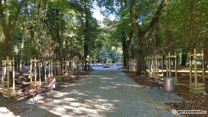 7/22 Tak zmienia się park Kopernika