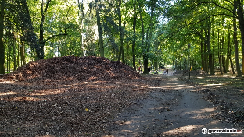 13/22 Tak zmienia się park Kopernika