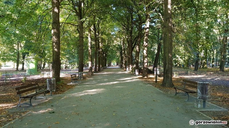16/22 Tak zmienia się park Kopernika