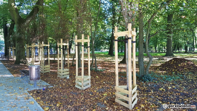 17/22 Tak zmienia się park Kopernika