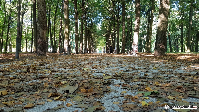 18/22 Tak zmienia się park Kopernika