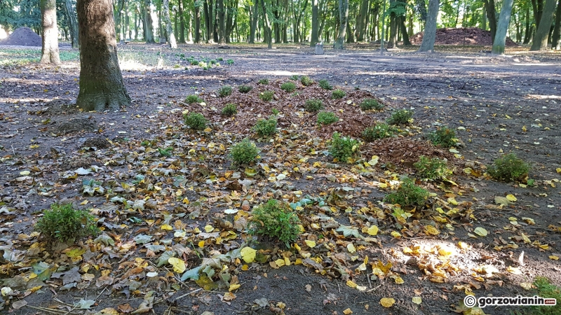 19/22 Tak zmienia się park Kopernika