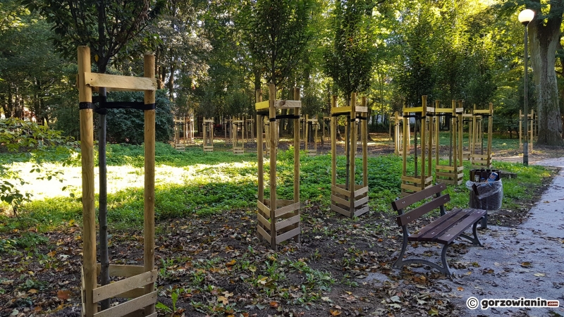 21/22 Tak zmienia się park Kopernika