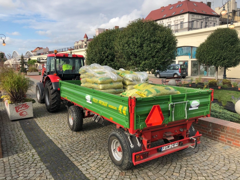 3/4 Nowe nasadzenia na nadwarciańskich bulwarach