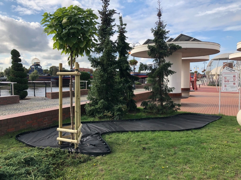 4/4 Nowe nasadzenia na nadwarciańskich bulwarach