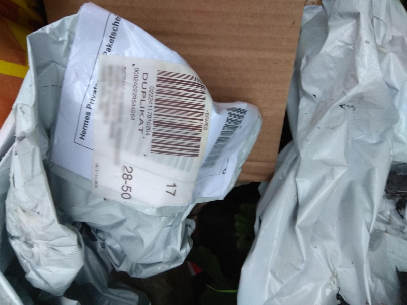 6/7 Zaśmiecony park przy Walczaka