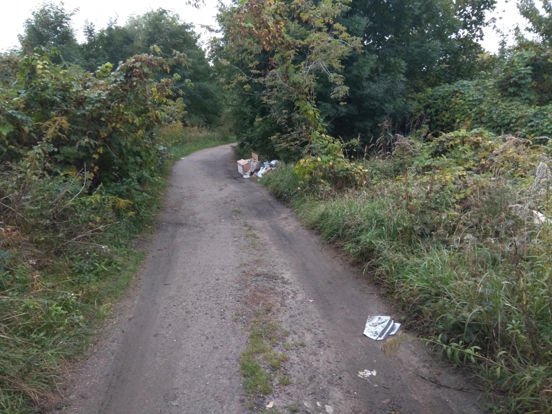 7/7 Zaśmiecony park przy Walczaka