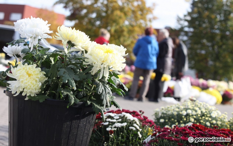15/24 Porządki na cmentarzu przed Wszystkimi Świętymi