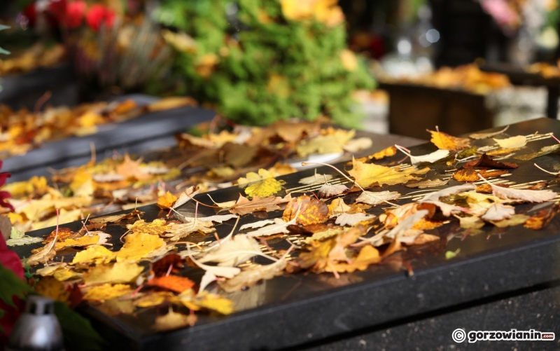 22/24 Porządki na cmentarzu przed Wszystkimi Świętymi