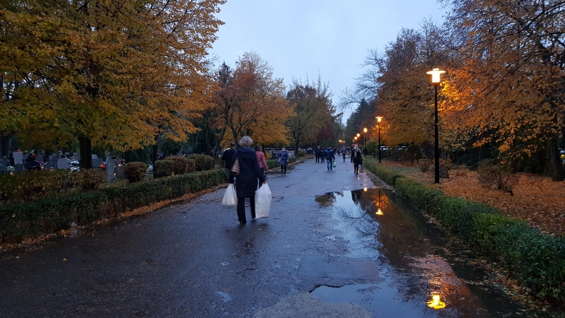 5/9 Gorzowianie ruszyli na cmentarze tuż przed zamknięciem