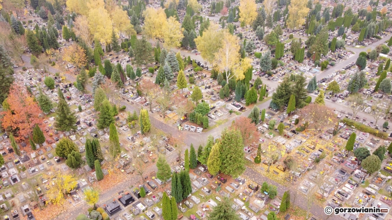 6/24 Wszystkich Świętych: Pusty cmentarz