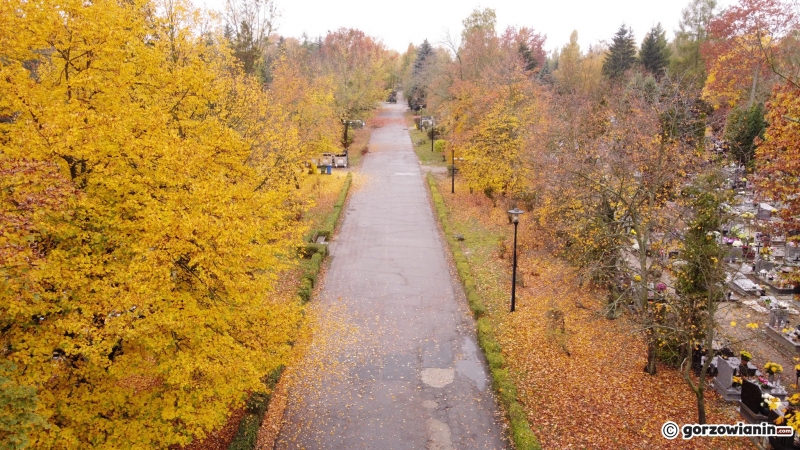 15/24 Wszystkich Świętych: Pusty cmentarz