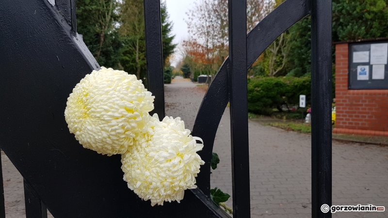 20/24 Wszystkich Świętych: Pusty cmentarz