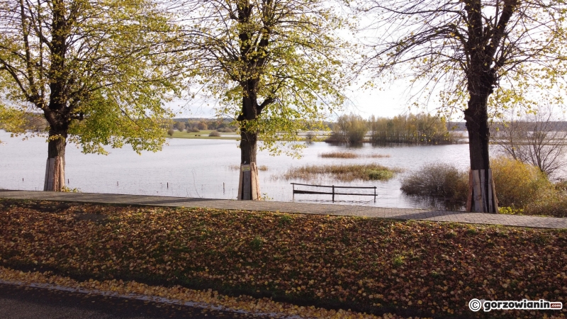 6/6 Zalane okolice Słubic