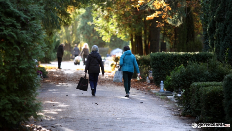 3/12 Cmentarz komunalny w Gorzowie - 3.11.2020