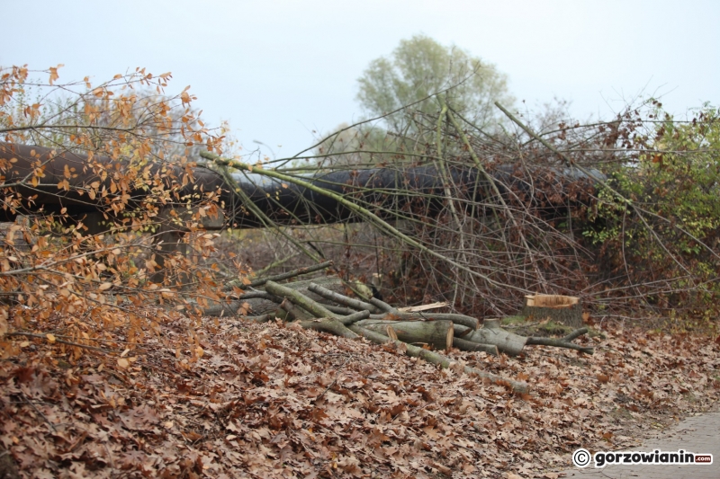 4/15 Prace na DK22 w Gorzowie