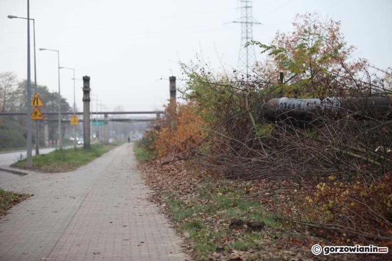 7/15 Prace na DK22 w Gorzowie