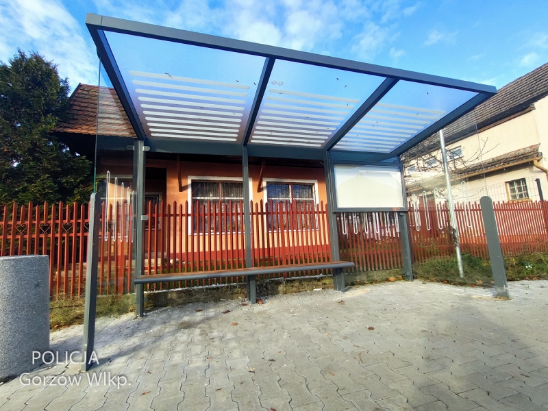 3/6 29-latek strzelał do przystanku