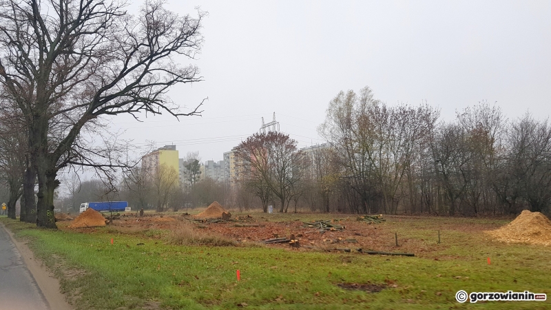 6/17 Wielka demolka przy Walczaka