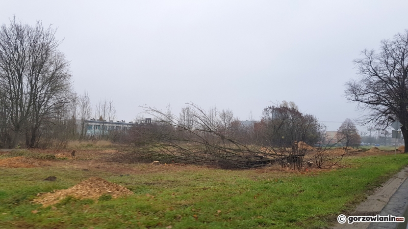 7/17 Wielka demolka przy Walczaka