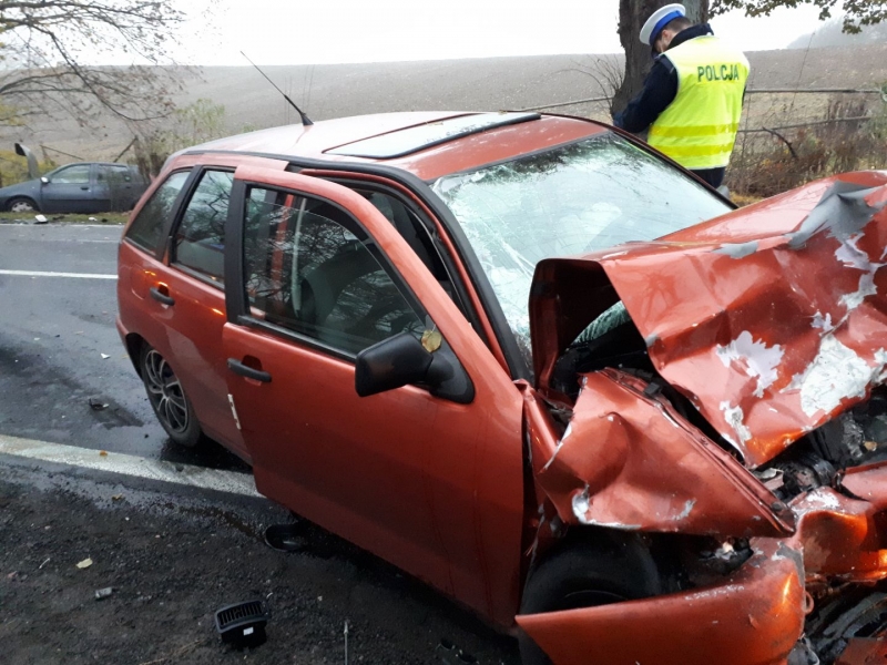 3/3 Czołówka na DK22 koło Strzelec