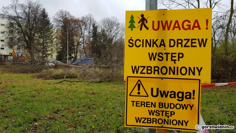 6/17 Wycinka drzew przy ul. Walczaka