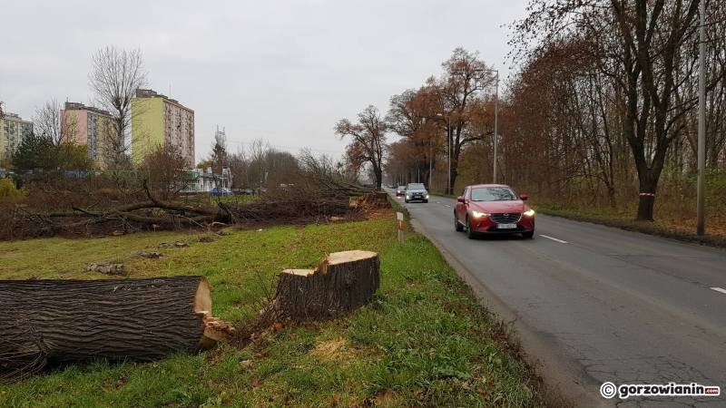 10/17 Wycinka drzew przy ul. Walczaka