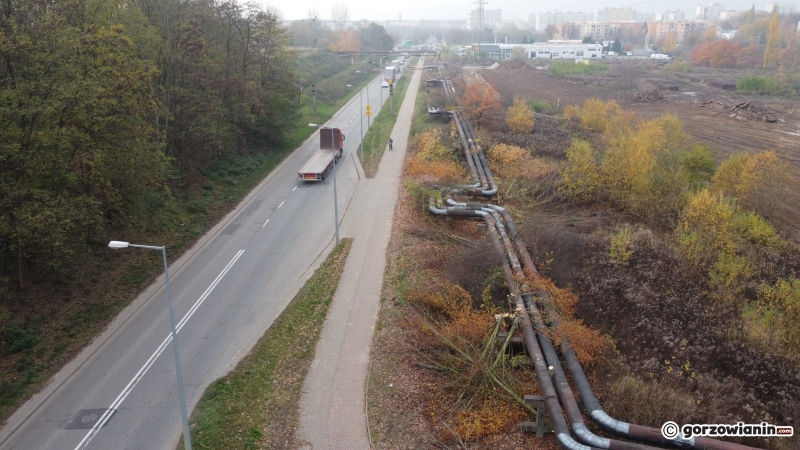 15/17 Wycinka drzew przy ul. Walczaka