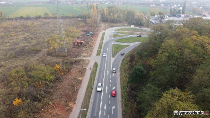 16/17 Wycinka drzew przy ul. Walczaka