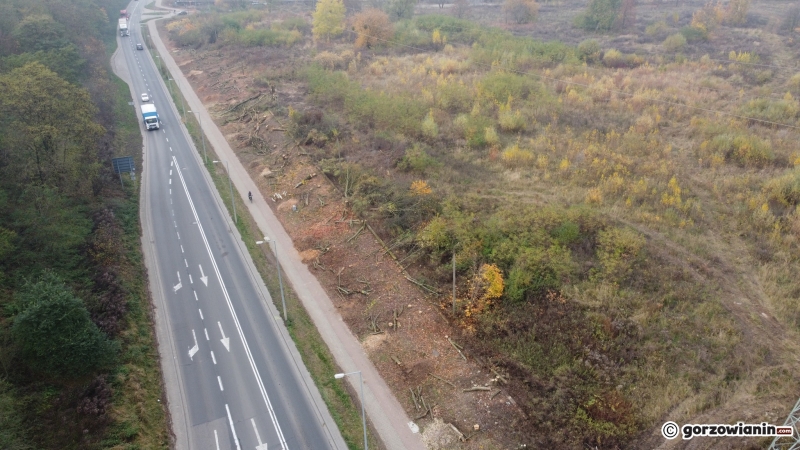 17/17 Wycinka drzew przy ul. Walczaka