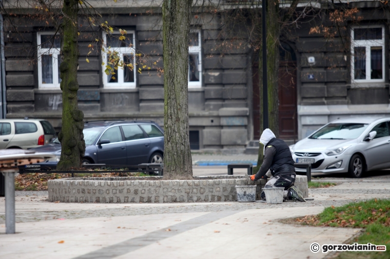 2/9 Murki zabezpieczające drzewa na Kwadracie