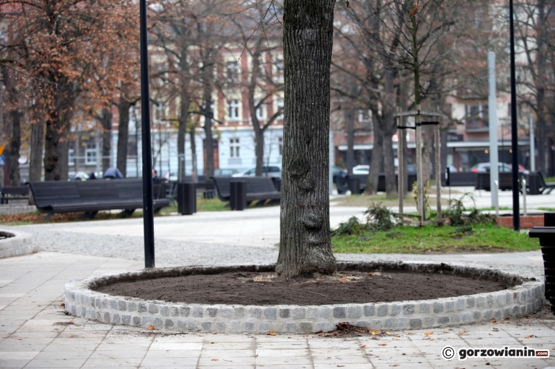3/9 Murki zabezpieczające drzewa na Kwadracie