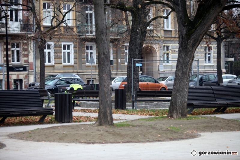 6/9 Murki zabezpieczające drzewa na Kwadracie