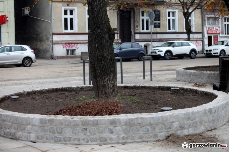 7/9 Murki zabezpieczające drzewa na Kwadracie