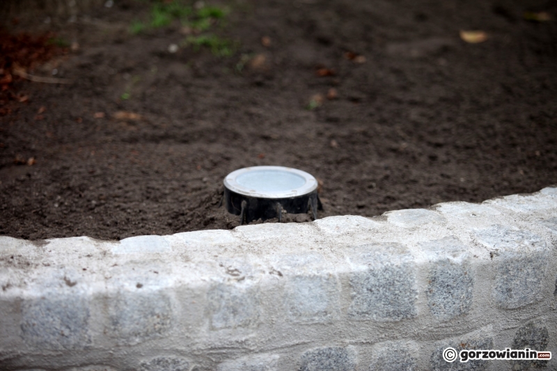 8/9 Murki zabezpieczające drzewa na Kwadracie