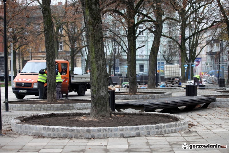 9/9 Murki zabezpieczające drzewa na Kwadracie