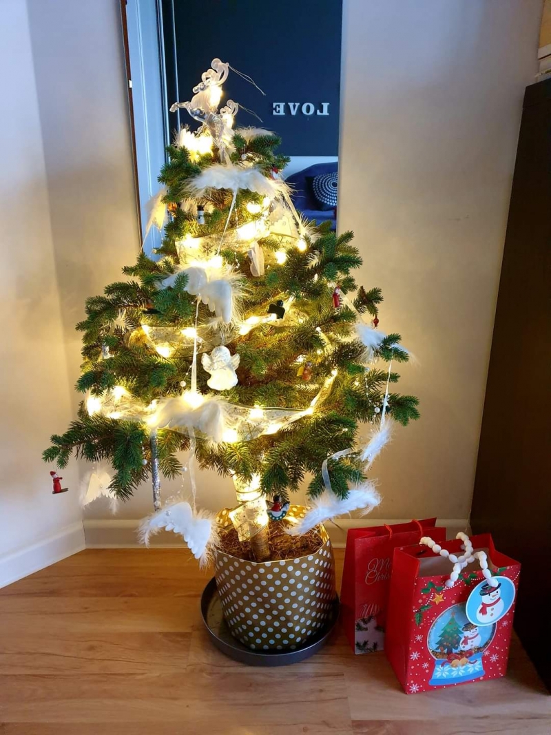 5/105 Piękne choinki czytelników portalu gorzowianin.com