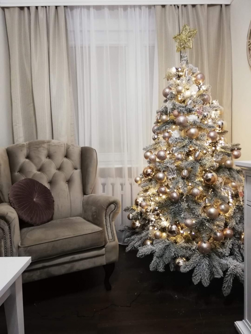 10/105 Piękne choinki czytelników portalu gorzowianin.com