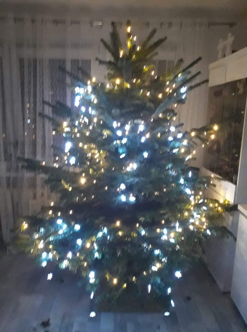 11/105 Piękne choinki czytelników portalu gorzowianin.com