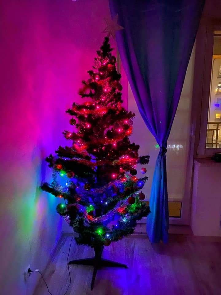 14/105 Piękne choinki czytelników portalu gorzowianin.com