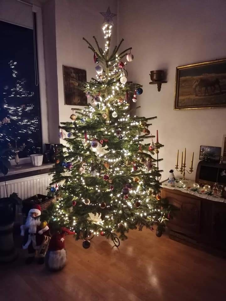 15/105 Piękne choinki czytelników portalu gorzowianin.com