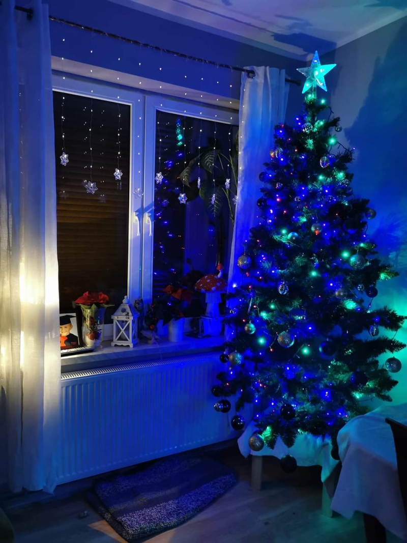 16/105 Piękne choinki czytelników portalu gorzowianin.com