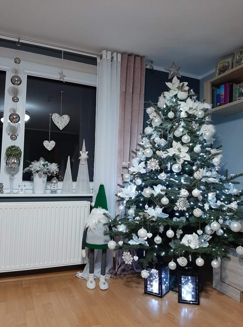 17/105 Piękne choinki czytelników portalu gorzowianin.com