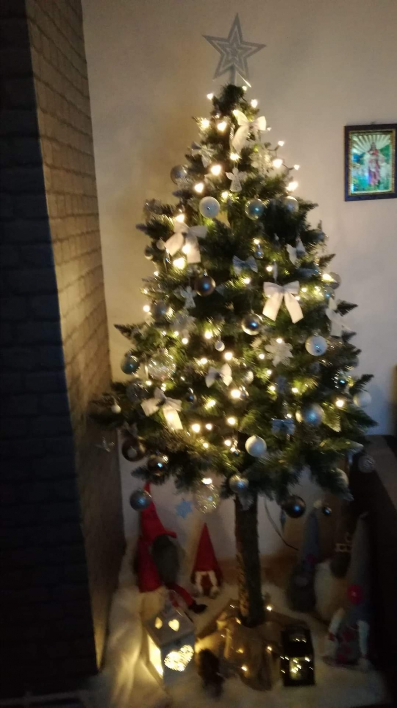 18/105 Piękne choinki czytelników portalu gorzowianin.com