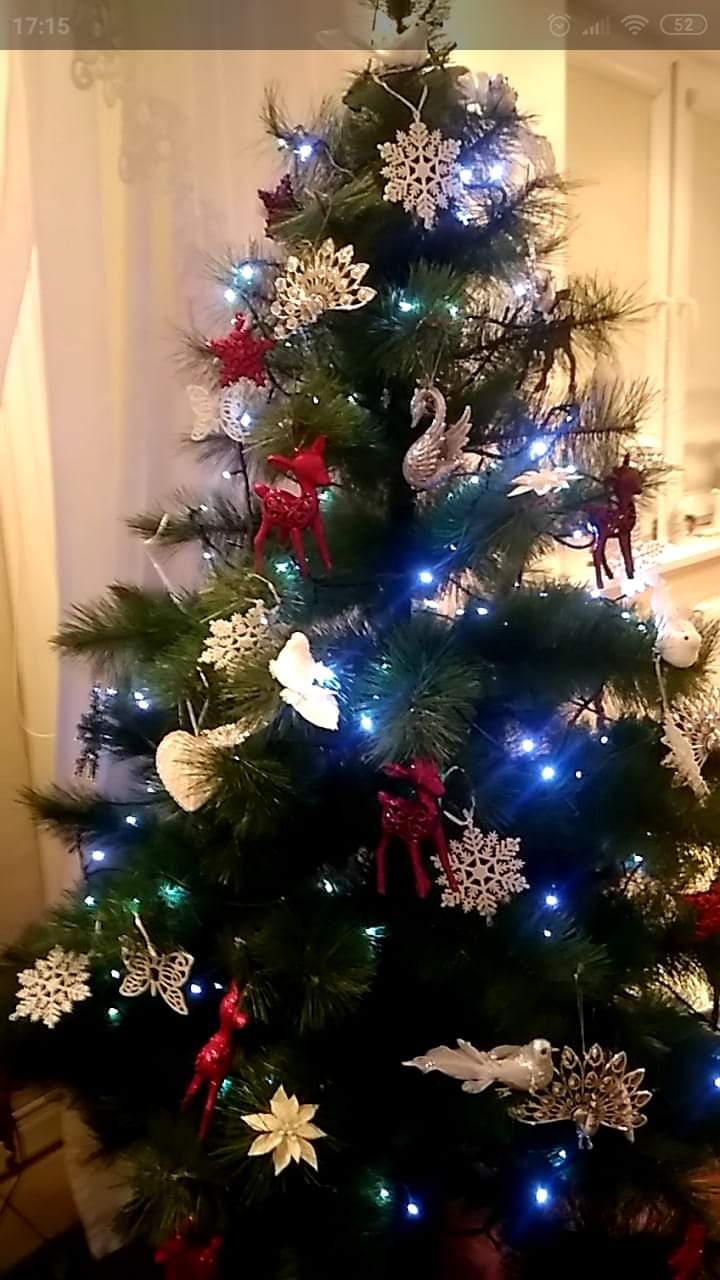 19/105 Piękne choinki czytelników portalu gorzowianin.com