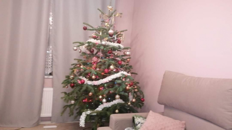 21/105 Piękne choinki czytelników portalu gorzowianin.com