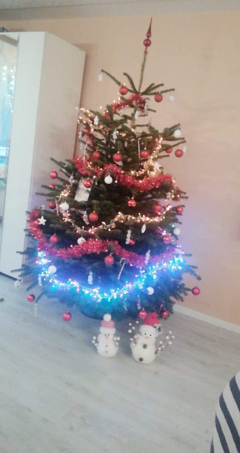 22/105 Piękne choinki czytelników portalu gorzowianin.com